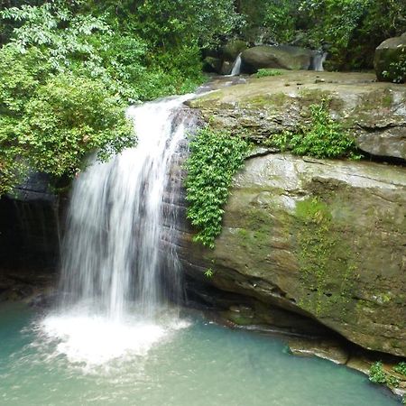 Buderim Forest Hideaway Eksteriør bilde