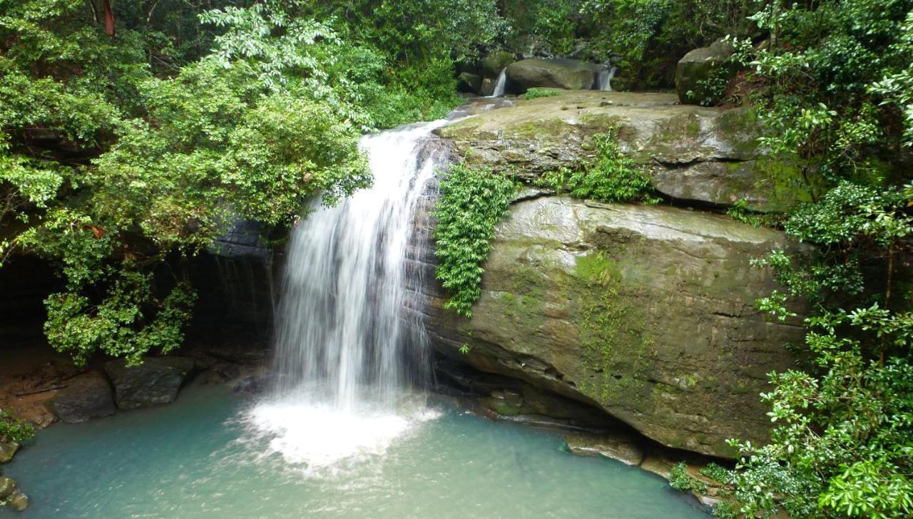 Buderim Forest Hideaway Eksteriør bilde