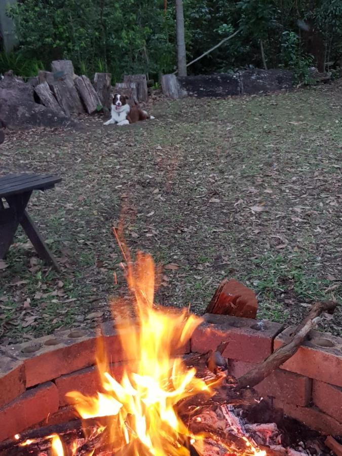 Buderim Forest Hideaway Eksteriør bilde