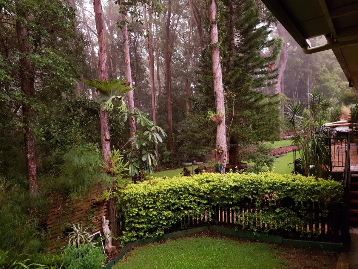 Buderim Forest Hideaway Eksteriør bilde